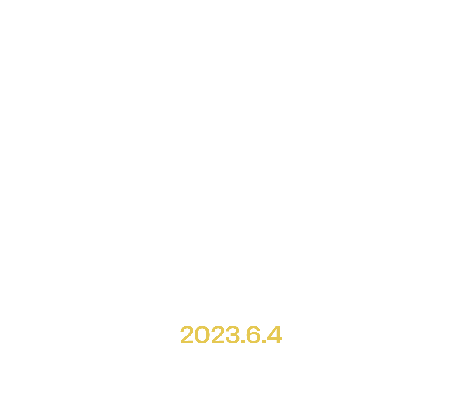 TOP CHAMPION IN JAPAN